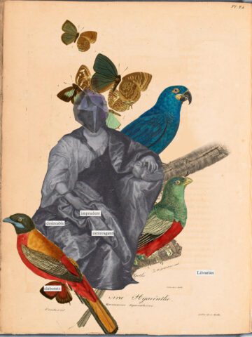 Erasure poem and Collage - Image of a seated woman with three colourful birds and Erasured text reads imprudent, desireable, extravagant, elaborate Librarian