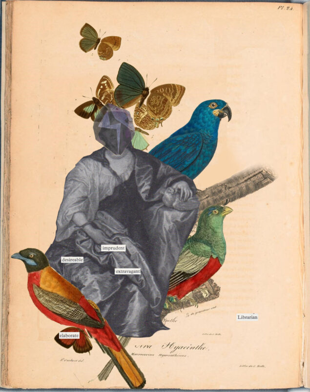 Erasure poem and Collage - Image of a seated woman with three colourful birds and Erasured text reads imprudent, desireable, extravagant, elaborate Librarian