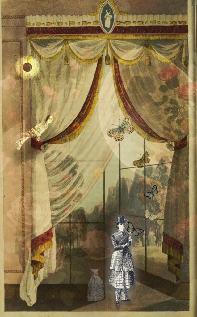 digital collage - image of drapery with victorian female figure in progressive garment to front centre, holding butterfly. Various tiny characters surround her.